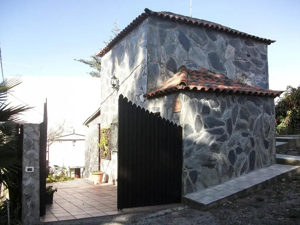 The Forest's Villa