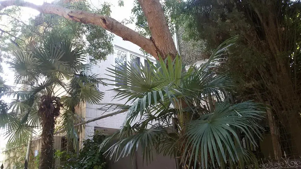 Guest House Yalta Prima
