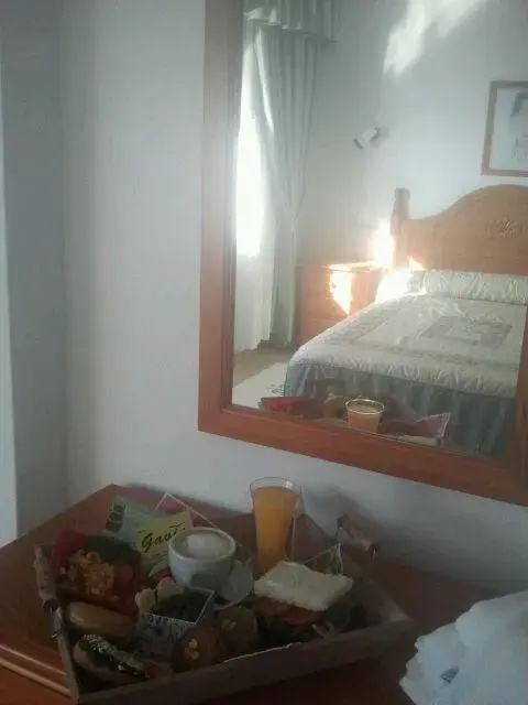 Imagen de Hotel Gavia (3 de 14)