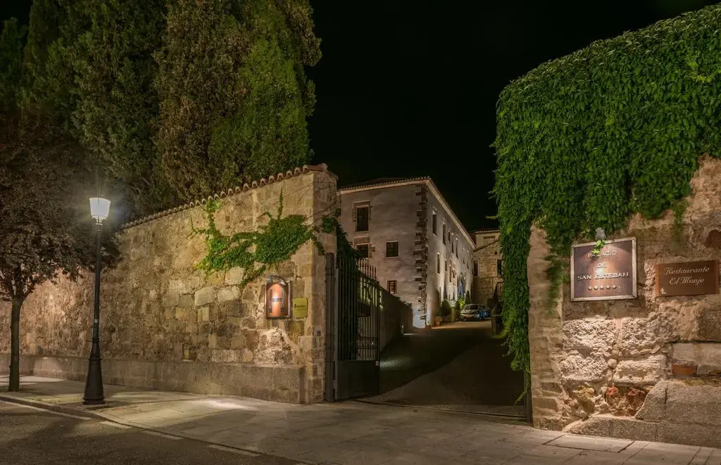 Imagen de Hospes Palacio de San Esteban (13 de 20)