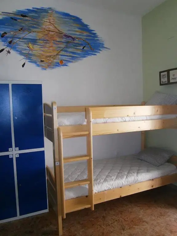 Imagen de DE CÁDIZ CADI HOSTEL (13 de 21)