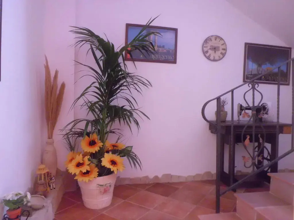 La Mimosa