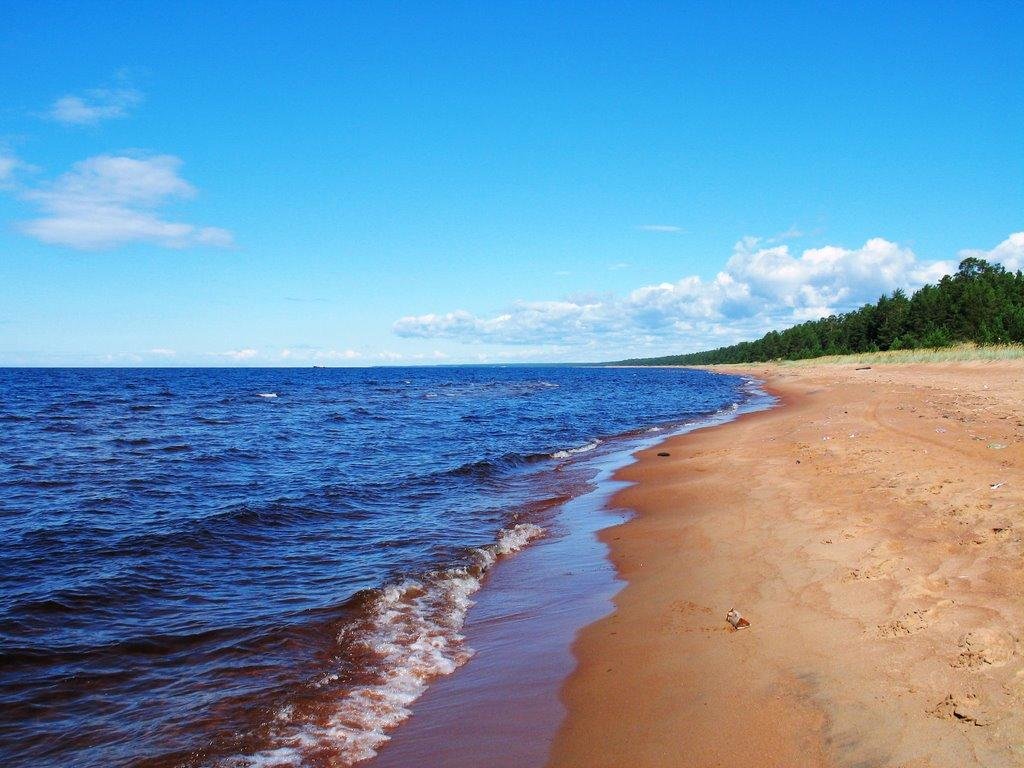 Село Видлица на Ладожском озере