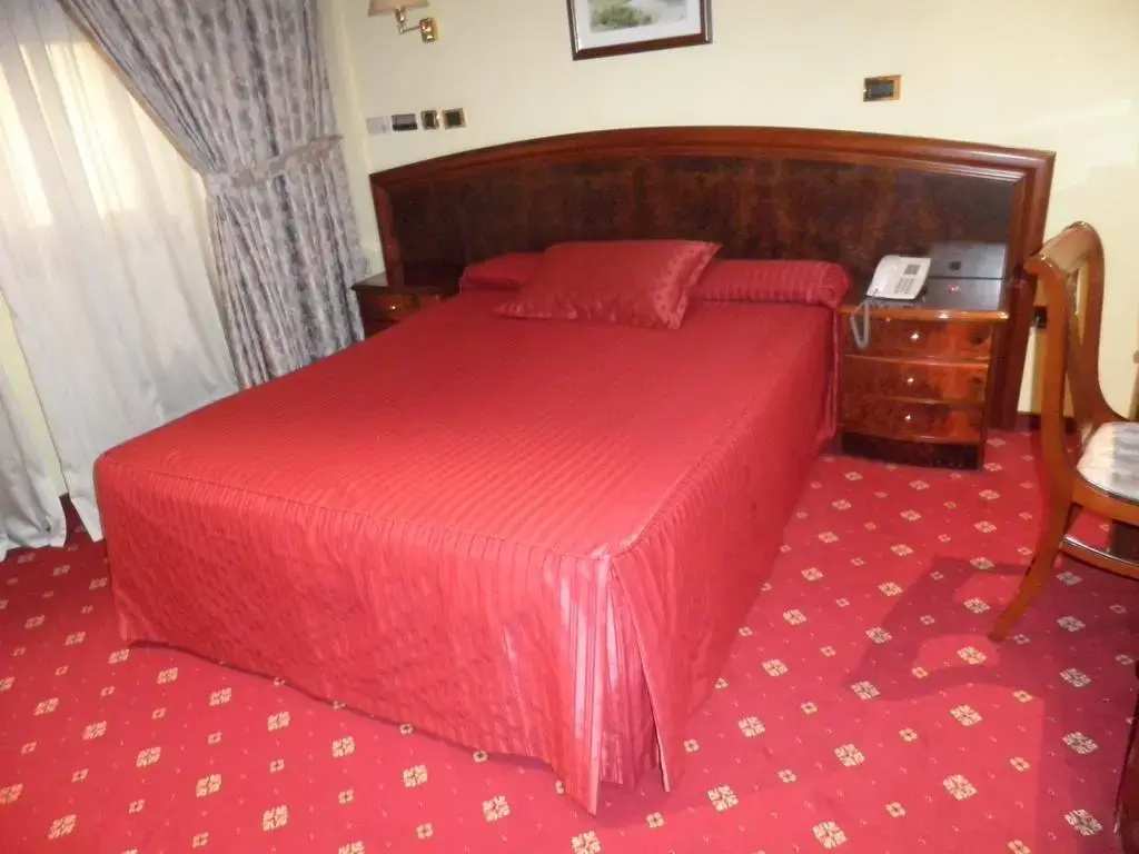 Imagen de Hotel Francisco II (3 de 22)