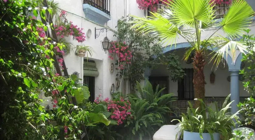 Imagen de Séneca Hostel (5 de 18)