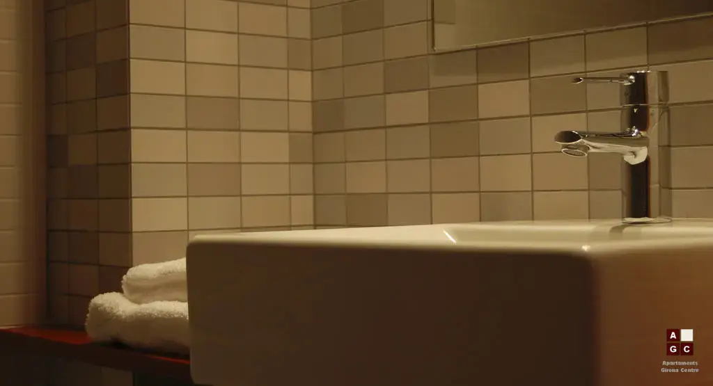 Imagen de Apartaments Girona Centre (21 de 21)