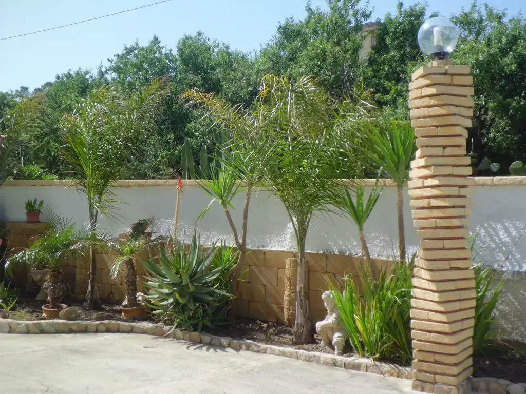 La Mimosa