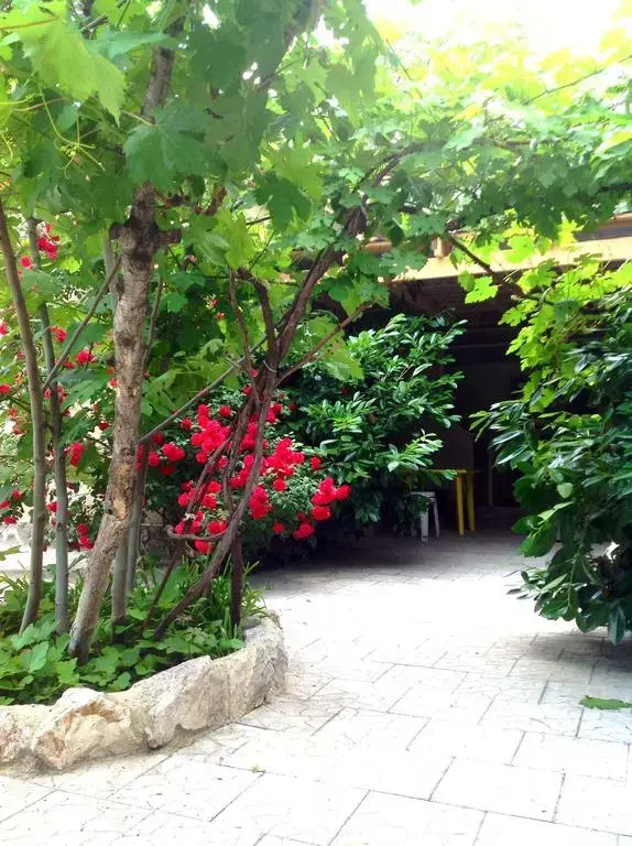 Ivolga Guest House