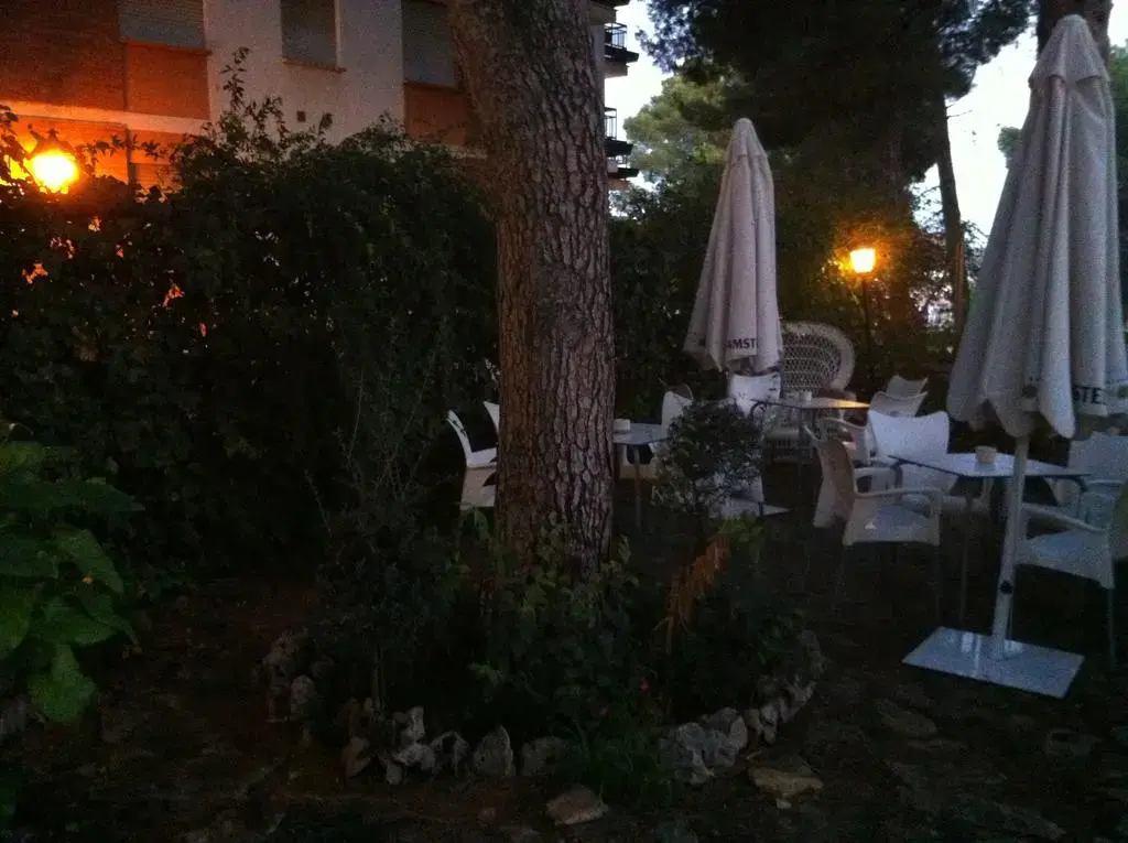 Imagen de Hostal victoria (4 de 26)