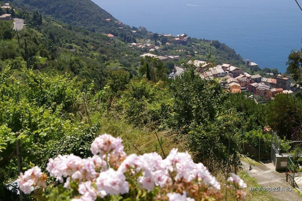 Albergo Silvia