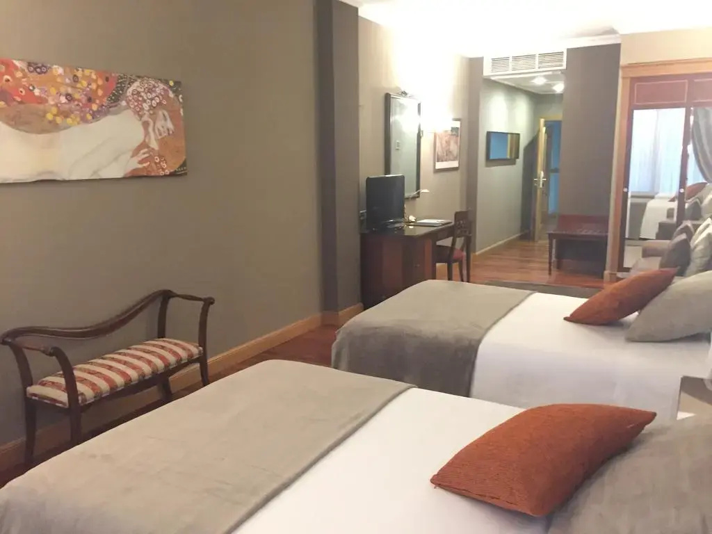 Imagen de Hotel Armiñe (16 de 20)