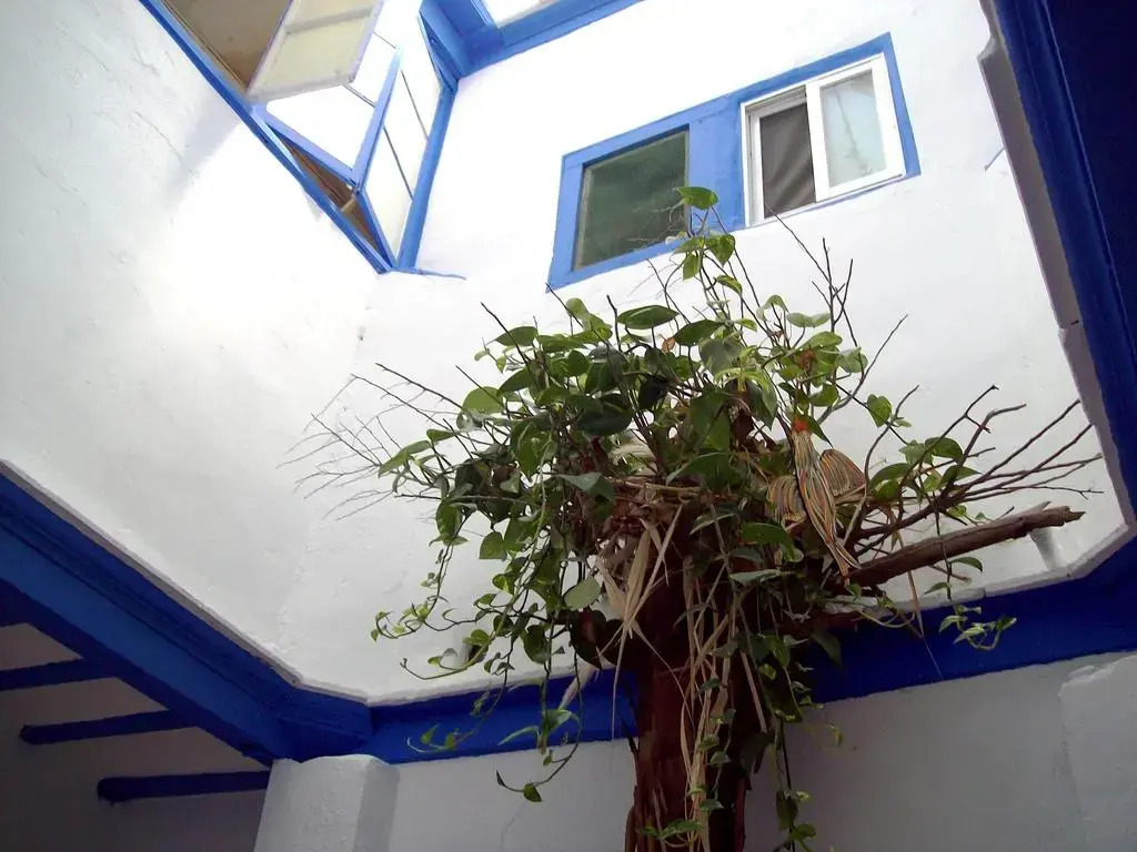 Imagen de DE CÁDIZ CADI HOSTEL (21 de 21)