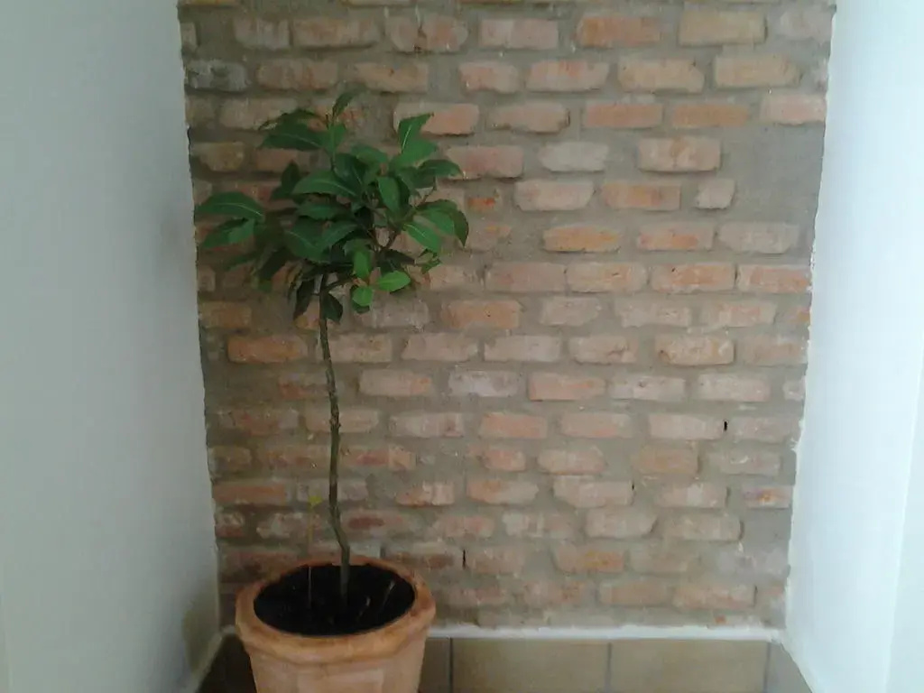 Imagen de Alojamiento Encanto - Apartamentos turísticos en Cáceres capital (11 de 11)