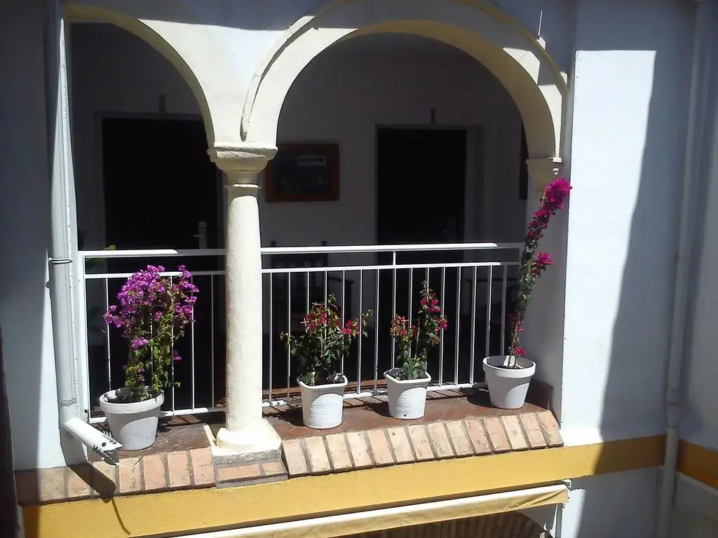 Imagen de Casa de los Naranjos (7 de 20)
