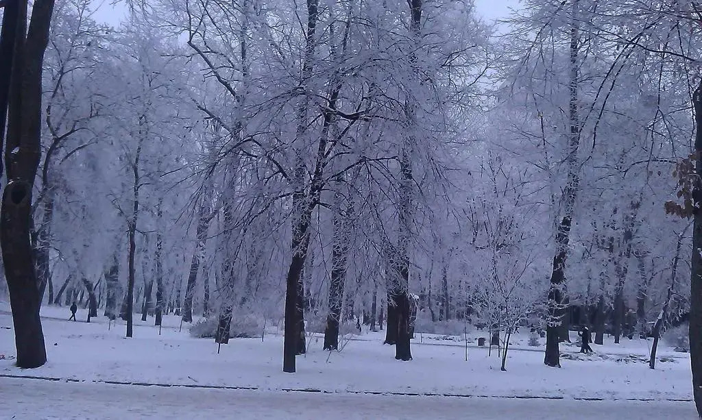 Belokorichi