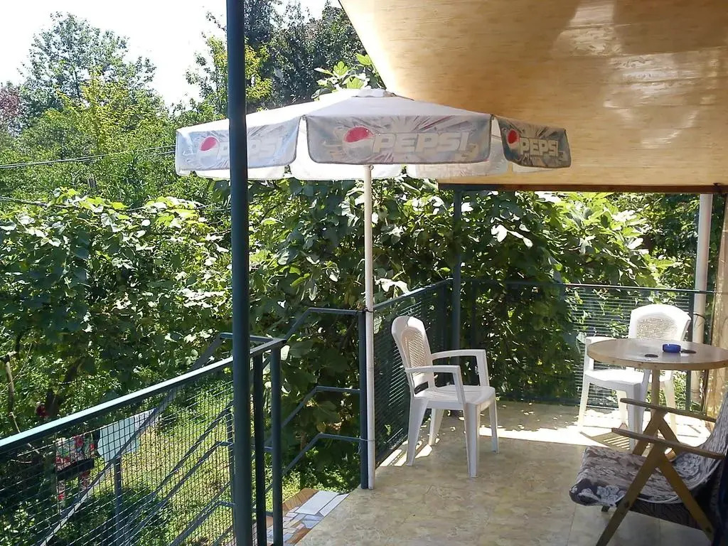 Bagrationi's House