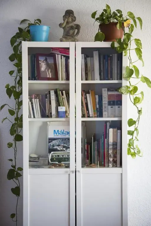 Imagen de MálagaisLife (18 de 19)