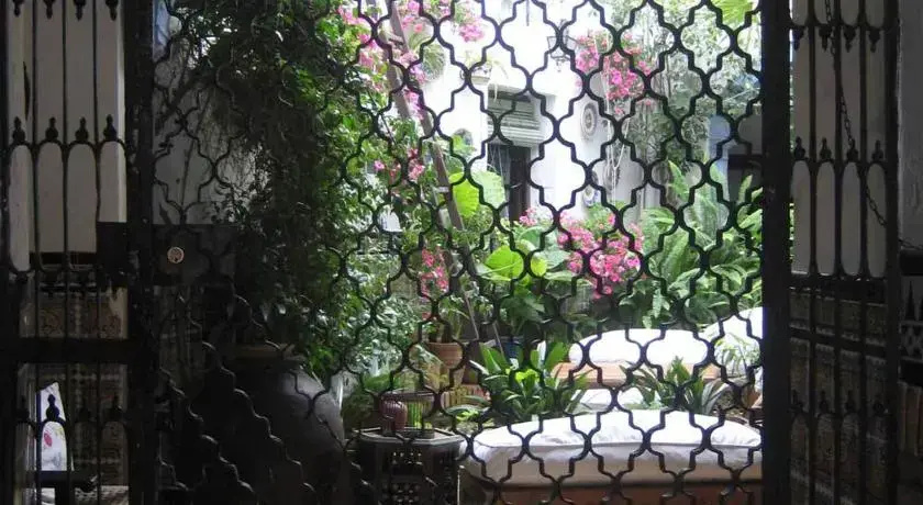Imagen de Séneca Hostel (14 de 18)