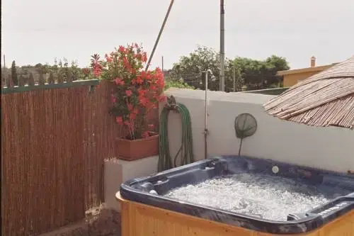 Imagen de La Casa de La Palmera (15 de 17)