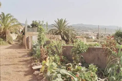 Imagen de La Casa de La Palmera (11 de 17)