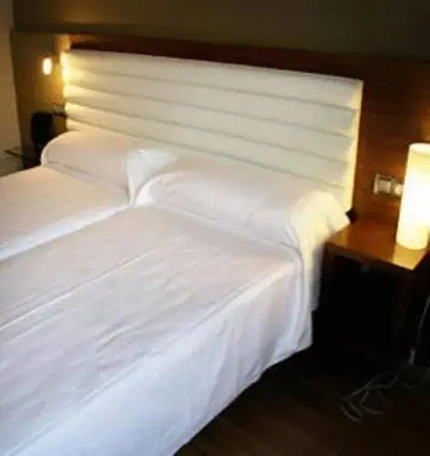 Imagen de Duero Hotel (8 de 24)