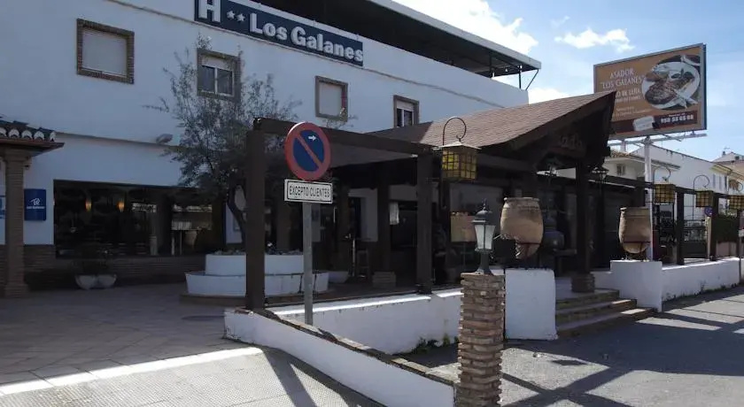Imagen de Hotel Los Galanes (2 de 12)