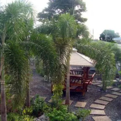Отель Charlie's Bungalow Таиланд, Ко Сичанг - отзывы, цены и фото номеров - забронировать отель Charlie's Bungalow онлайн фото 15