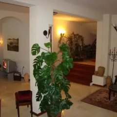Hotel Dubrava Будва спа фото 2