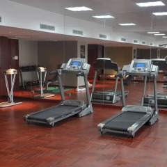 Отель LVGEM Hotel Китай, Шэньчжэнь - отзывы, цены и фото номеров - забронировать отель LVGEM Hotel онлайн фитнесс-зал фото 3