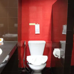 Twin Hotel фото 10