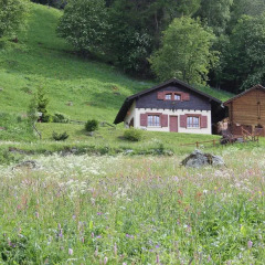 Отель Chalet Gentil Nid Нендаз фото 3