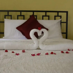 Отель Milbrooks Resort комната для гостей
