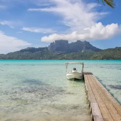 Отель Pension Alice et Raphael Bora-Bora Французская Полинезия, Бора-Бора - отзывы, цены и фото номеров - забронировать отель Pension Alice et Raphael Bora-Bora онлайн приотельная территория фото 2
