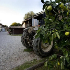 Отель Agriturismo Cascina Caremma Бесате спортивное сооружение