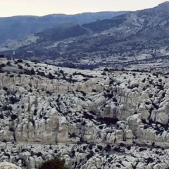 Отель Petra Moon Hotel Иордания, Вади-Муса - отзывы, цены и фото номеров - забронировать отель Petra Moon Hotel онлайн фото 2