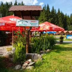 Отель ATC Železná Ruda Чехия, Железна-Руда - отзывы, цены и фото номеров - забронировать отель ATC Železná Ruda онлайн бассейн