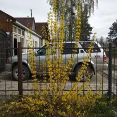 Отель B&B at Bailanysh Кыргызстан, Каракол - отзывы, цены и фото номеров - забронировать отель B&B at Bailanysh онлайн спортивное сооружение