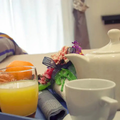 Отель B&B Cult Roma с домашними животными