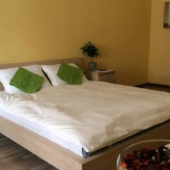 Гостиница Petrohostel комната для гостей фото 3