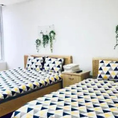 Tay Backpackers Hostel Далат комната для гостей фото 5