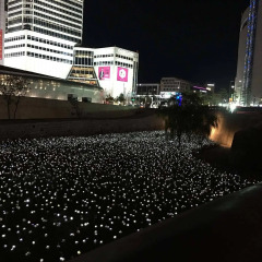 Отель Dongdaemun Inn Guest House – Hostel Южная Корея, Сеул - отзывы, цены и фото номеров - забронировать отель Dongdaemun Inn Guest House – Hostel онлайн