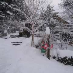 Отель Pyeongchang Four Seasons House (Swiss Chalet Pension) Южная Корея, Пхёнчан - отзывы, цены и фото номеров - забронировать отель Pyeongchang Four Seasons House (Swiss Chalet Pension) онлайн спортивное сооружение