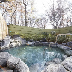 Nikko Astraea Hotel Никко бассейн фото 2