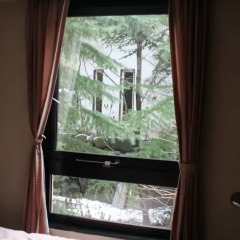 Hotel Nire no Ki Хакуба