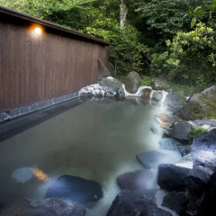 Отель Ryokan Ichinoi Минамиогуни бассейн фото 3
