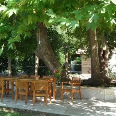 Sedir Palas Hotel с домашними животными