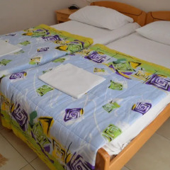 Hotel Kangaroo детские мероприятия