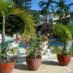 Отель El Tropicano бассейн фото 2