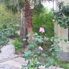 Ünlü Hotel Турция, Олудениз - отзывы, цены и фото номеров - забронировать отель Ünlü Hotel онлайн фото 3