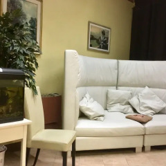 Primavera Hotel развлечения